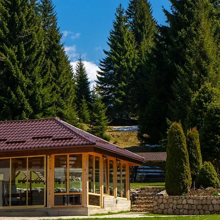 Pensiunea Poienita Ursului-2